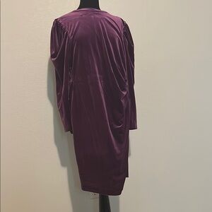 Royal Luxurious Delicious Purple Velvet Dress